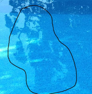A close up of the ghost in the B & B pool.