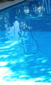 Our haunted pool ghost!